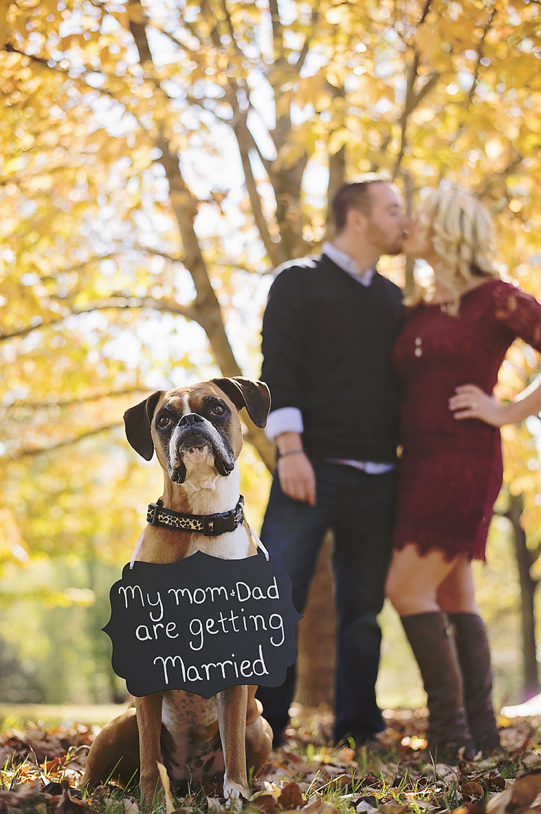 Engagement Sessions | Photographer Louisville, KY